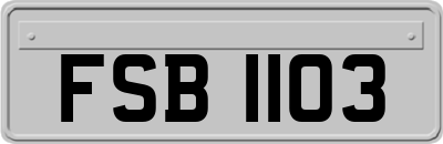 FSB1103
