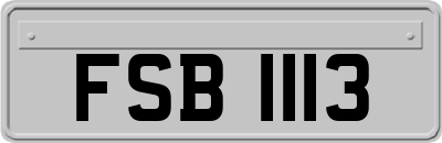FSB1113