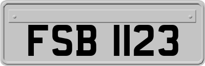 FSB1123