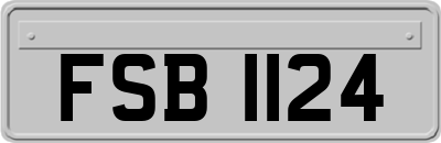 FSB1124