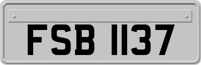 FSB1137
