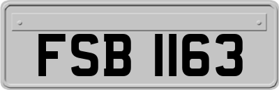 FSB1163