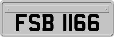 FSB1166