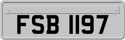 FSB1197