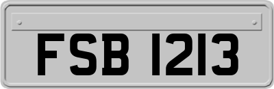 FSB1213