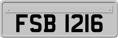 FSB1216