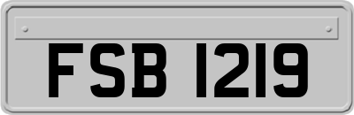 FSB1219