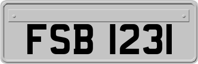 FSB1231