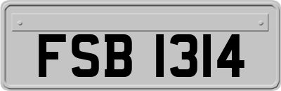 FSB1314
