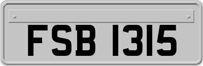 FSB1315