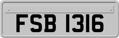 FSB1316