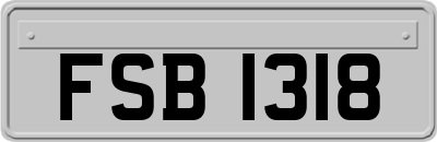 FSB1318