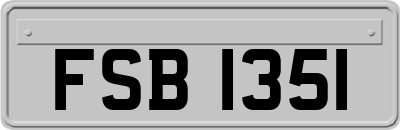 FSB1351