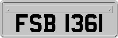 FSB1361
