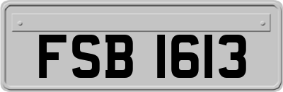 FSB1613