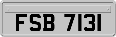 FSB7131