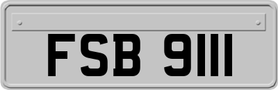 FSB9111