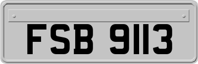 FSB9113