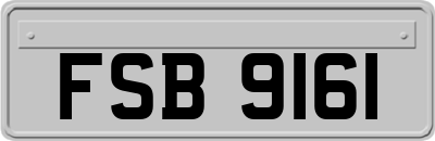 FSB9161
