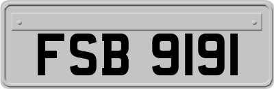 FSB9191