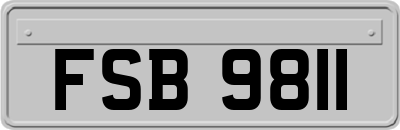 FSB9811