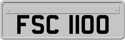 FSC1100
