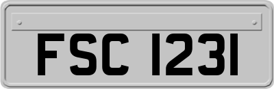 FSC1231