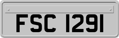 FSC1291