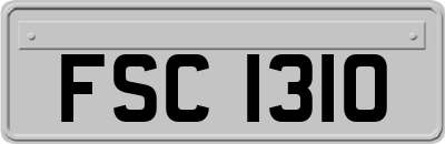 FSC1310