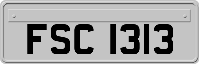 FSC1313