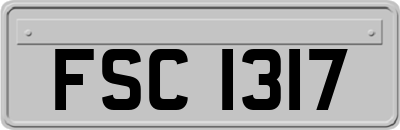 FSC1317