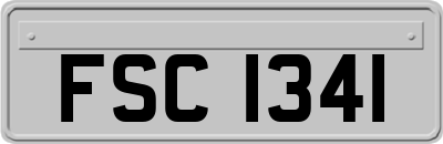 FSC1341