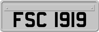 FSC1919