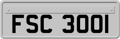 FSC3001