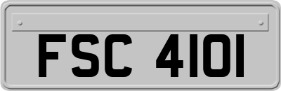 FSC4101