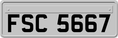 FSC5667