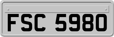 FSC5980