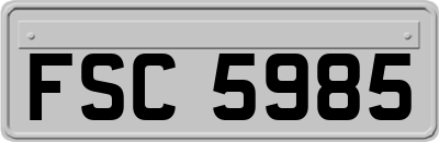 FSC5985