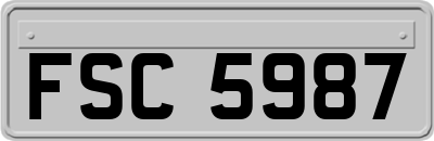 FSC5987