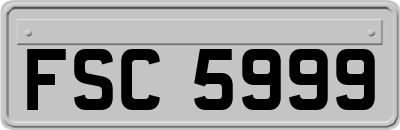 FSC5999