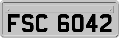 FSC6042