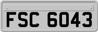 FSC6043