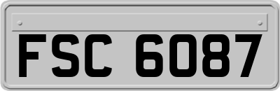FSC6087