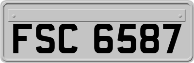 FSC6587