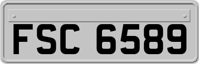FSC6589