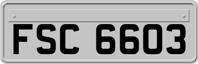 FSC6603