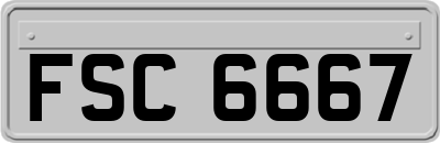 FSC6667
