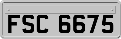 FSC6675