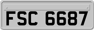 FSC6687
