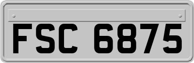 FSC6875